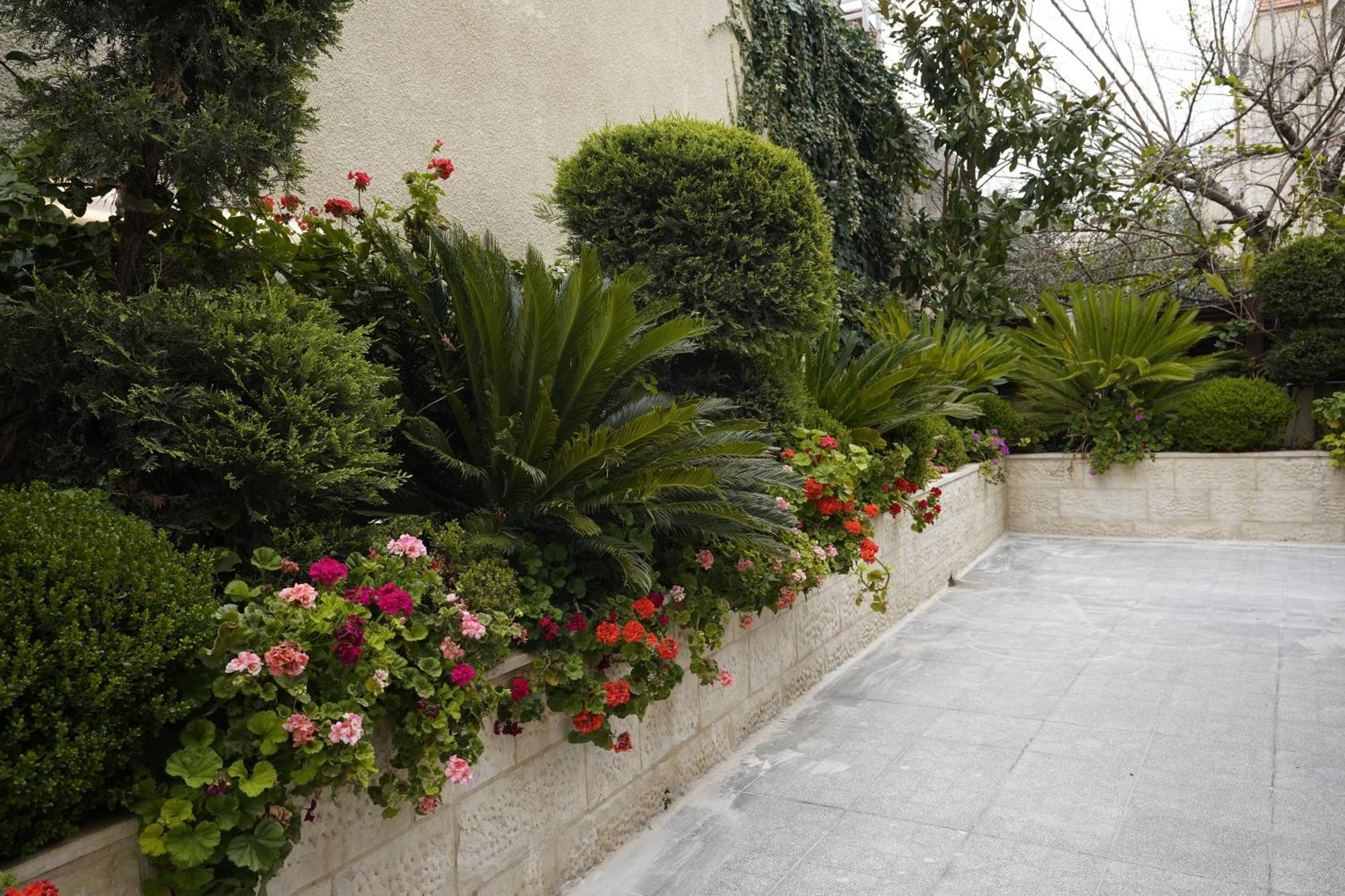 فندق Naylover Suites عمان المظهر الخارجي الصورة